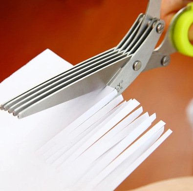 Herb Scissors